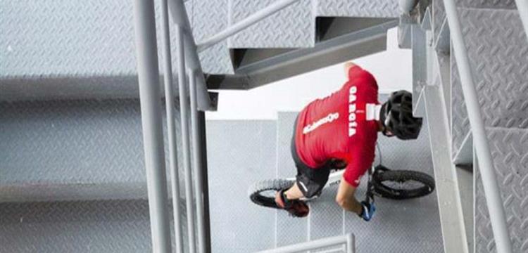 ديبيد جارثيا